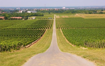 Slavonija i Baranja